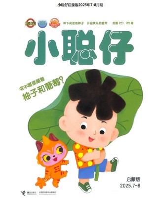 小聪仔婴儿版杂志订阅